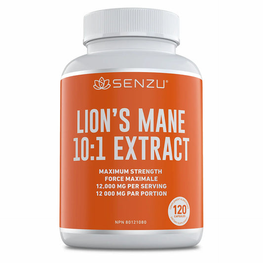 Lion's Mane 10:1 Extract